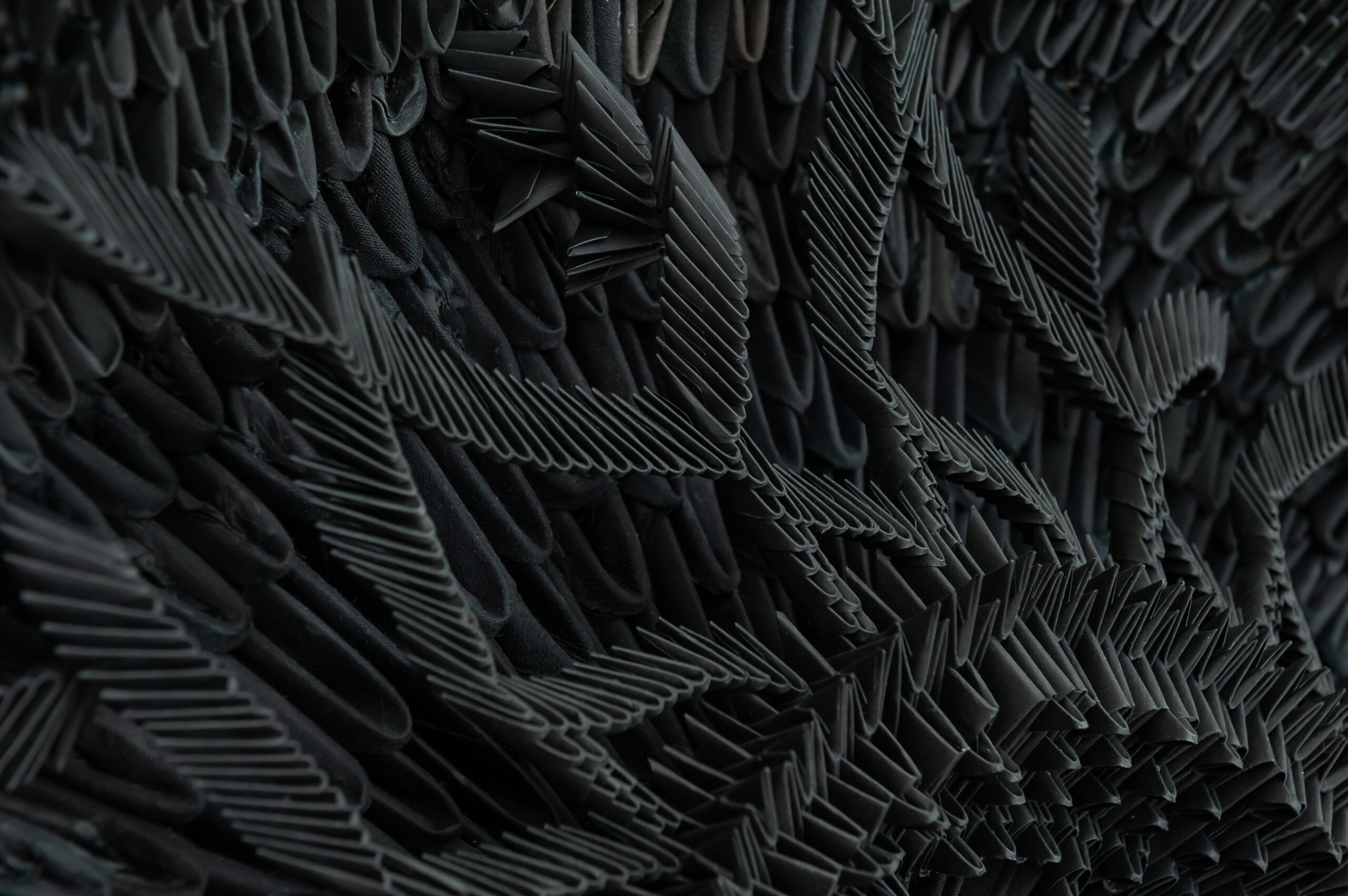 Och_017